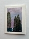 Evening Pines