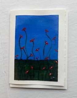 Poppies