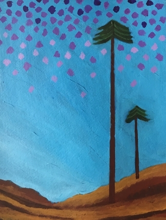 Whimsical Northern Skies
